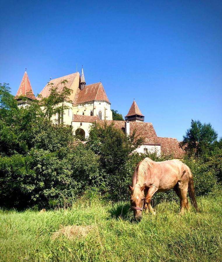 Casa Eva Wagner - Biertan Hotel Buitenkant foto
